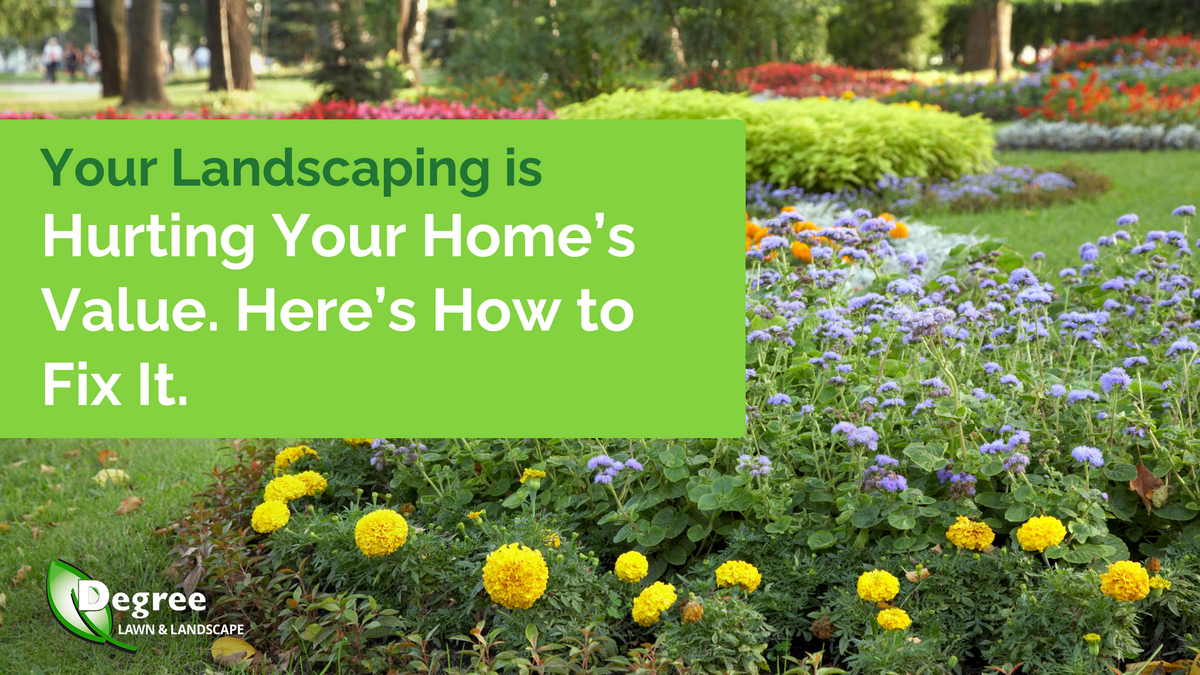 Your Landscaping Is Hurting Your Home’s Value. Here’s How to Fix It. 